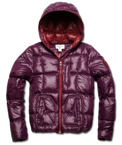 ���� 02961C508,,