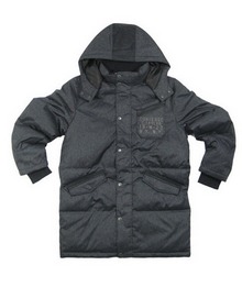 ����2012�¿�S411M811001