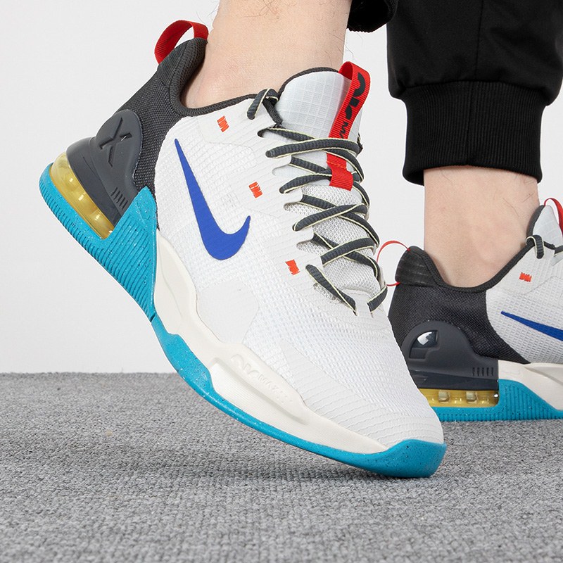 ���� DM0829-100