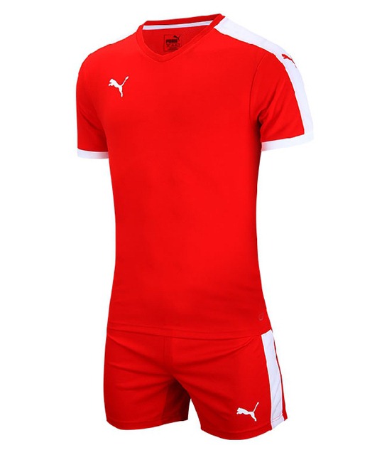 ���� 70310401