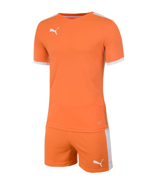 ���� 70310403